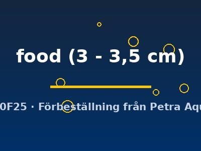 Live fish food 3–3,5 cm