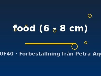 Live fish food 6–8 cm