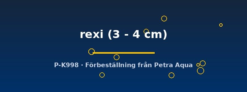 petra-ph2-178382 petra-ph2-178382
