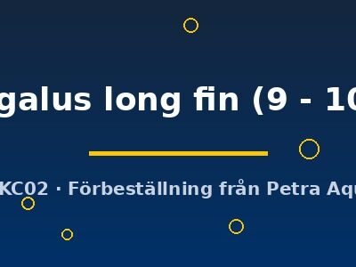 senegalus long fin (9 - 10 cm)