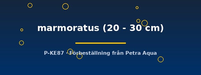 petra-ph2-178445 petra-ph2-178445