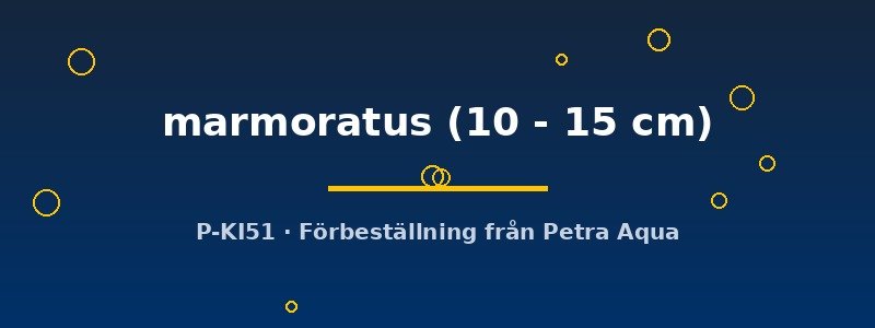 petra-ph2-178446 petra-ph2-178446