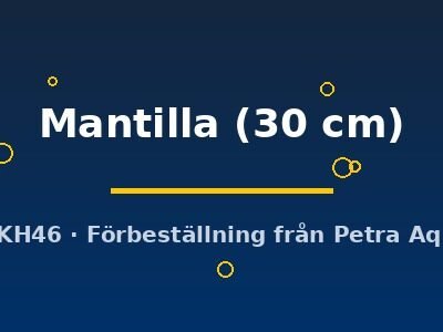 Potamotrygon Mantilla 30 cm