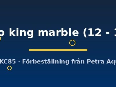 motoro king marble (12 - 15 cm)