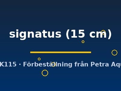 signatus (15 cm)