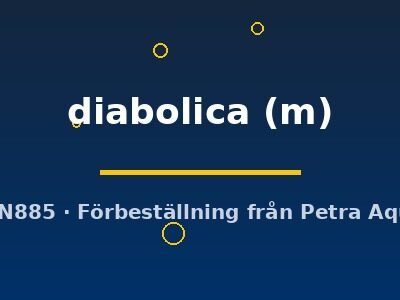 Barbucca diabolica M