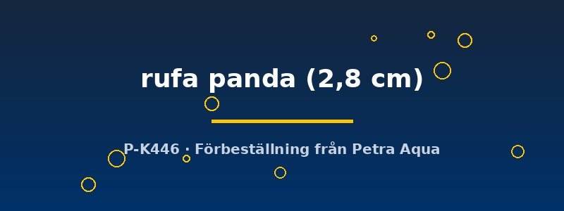 petra-ph2-178582 petra-ph2-178582
