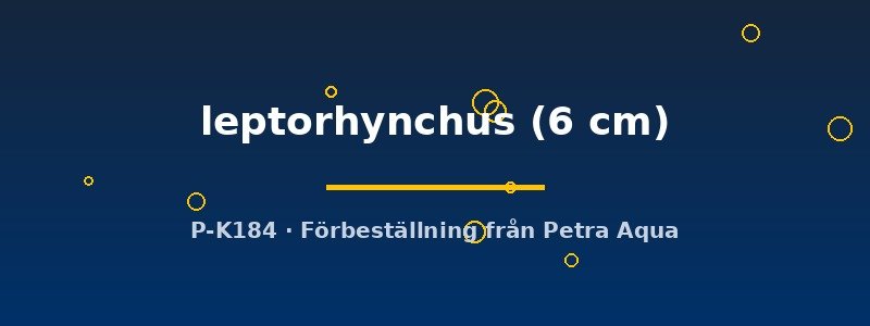 petra-ph2-178634 petra-ph2-178634
