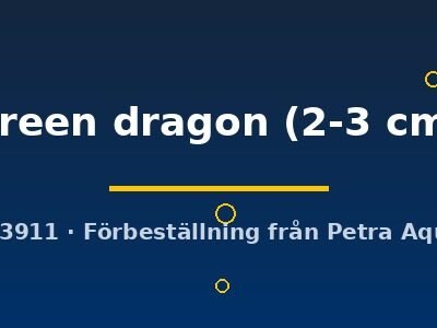 green dragon (2-3 cm)