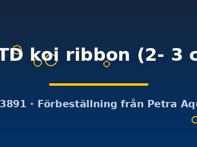 PRTD koi ribbon (2- 3 cm)