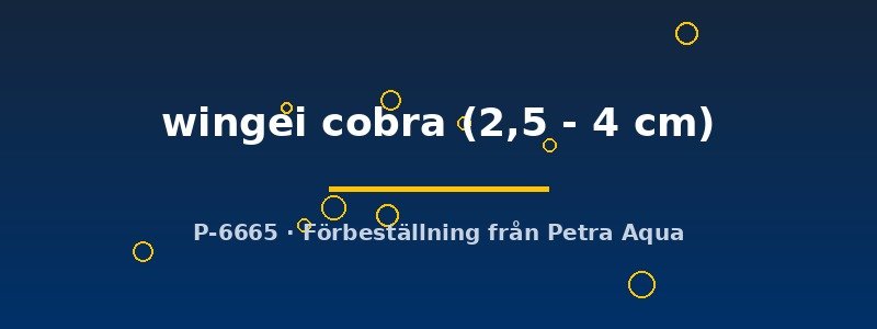 petra-ph2-178656 petra-ph2-178656
