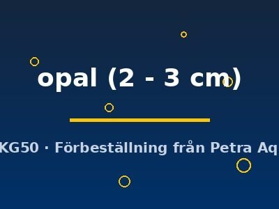 opal (2 - 3 cm)