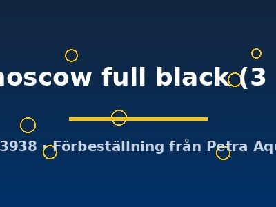 Poecilia ret. male moscow full black 3–4 cm