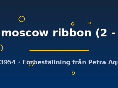 Poecilia ret. (in pair) black moscow ribbon 2–3 cm