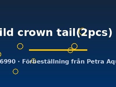 Poecilia ret. (in pair) full red wild crown tail(2pcs) 3–4 cm