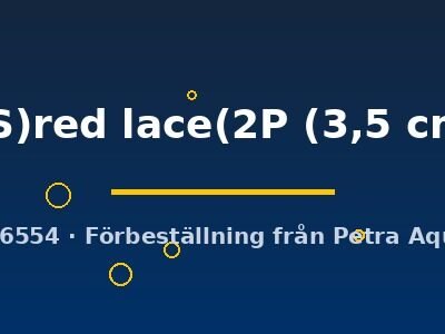 Poecilia ret. (sold in pairs) CS)red lace(2P 3,5 cm