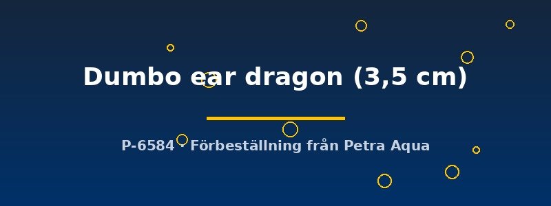 petra-ph2-178721 petra-ph2-178721