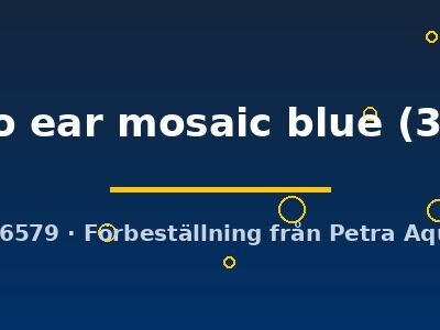 Poecilia ret. (sold in pairs) Dumbo ear mosaic blue 3,5 cm