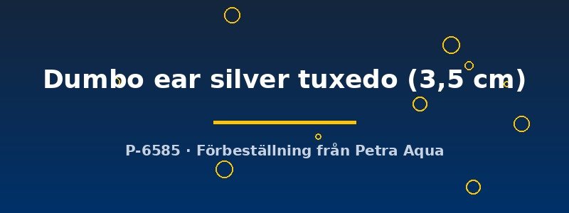 petra-ph2-178723 petra-ph2-178723