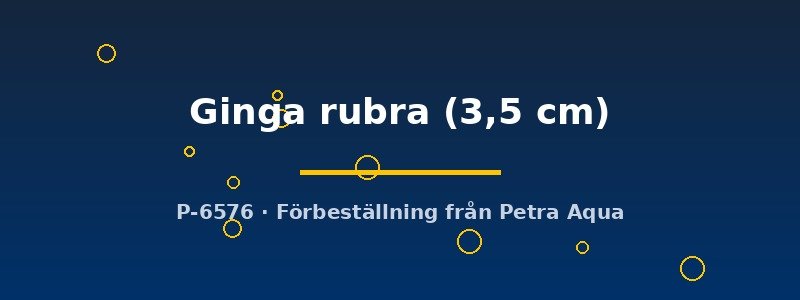 petra-ph2-178726 petra-ph2-178726