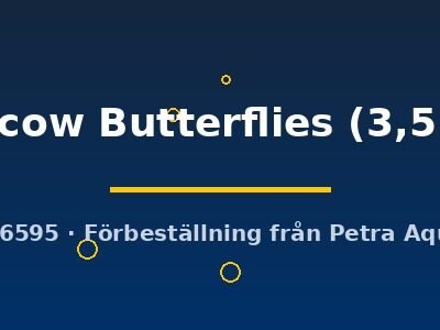 Moscow Butterflies (3,5 cm)