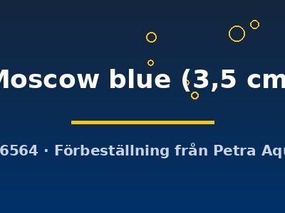 Moscow blue (3,5 cm)