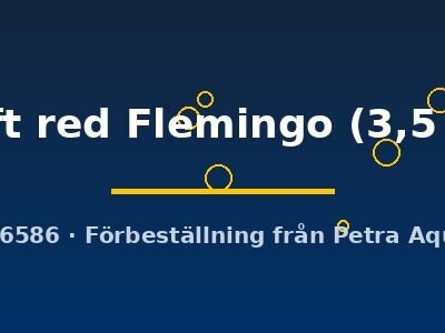 Poecilia ret. (sold in pairs) draft red Flemingo 3,5 cm