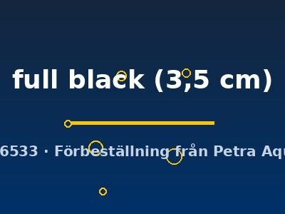 Poecilia ret. (sold in pairs) full black 3,5 cm