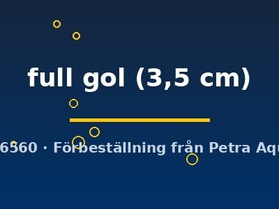 Poecilia ret. (sold in pairs) full gol 3,5 cm