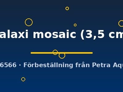 Poecilia ret. (sold in pairs) galaxi mosaic 3,5 cm
