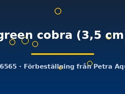 green cobra (3,5 cm)