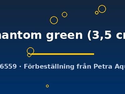 phantom green (3,5 cm)