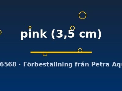 Poecilia ret. (sold in pairs) pink 3,5 cm