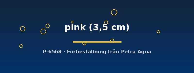 petra-ph2-178763 petra-ph2-178763