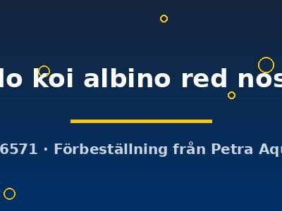 Poecilia ret. (sold in pairs) red tuxedo koi albino red nos 3,5 cm