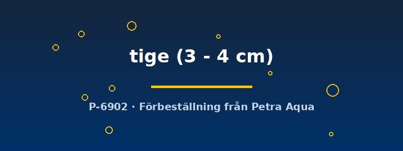 petra-ph2-178777 petra-ph2-178777