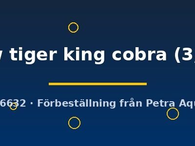 yellow tiger king cobra (3,5 cm)