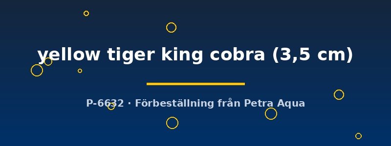 petra-ph2-178783 petra-ph2-178783