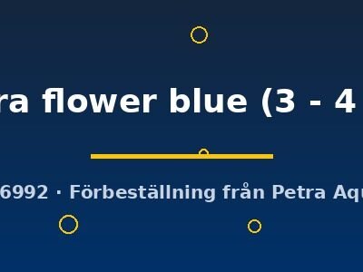 cobra flower blue (3 - 4 cm)