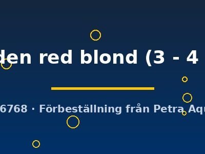 golden red blond (3 - 4 cm)