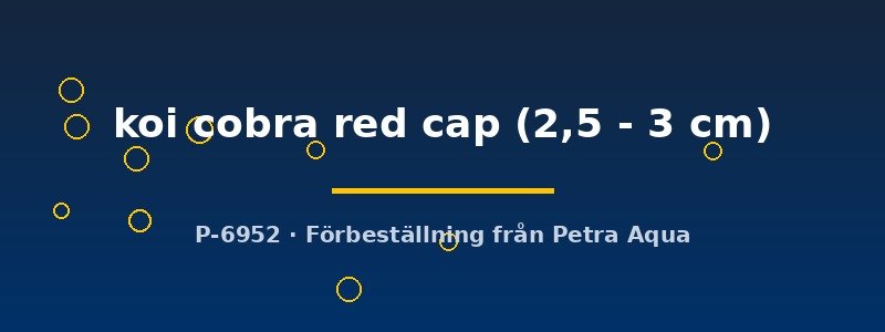 petra-ph2-178799 petra-ph2-178799