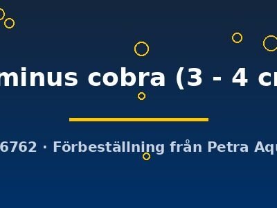 luminus cobra (3 - 4 cm)