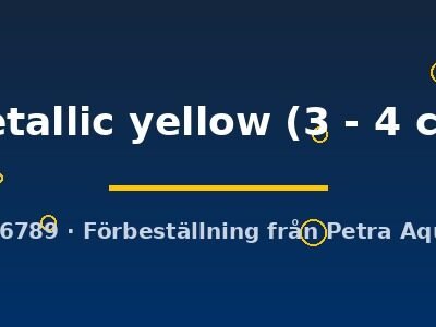 metallic yellow (3 - 4 cm)