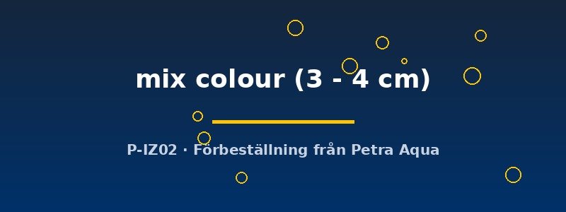 petra-ph2-178803 petra-ph2-178803