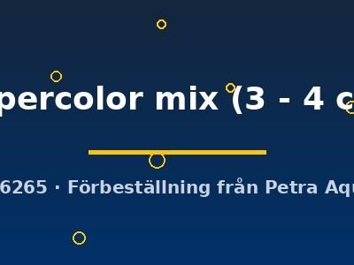 supercolor mix (3 - 4 cm)