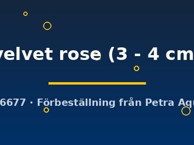 velvet rose (3 - 4 cm)