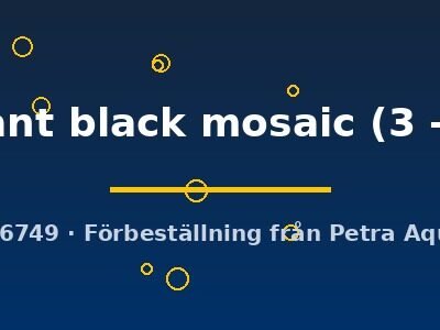 Poecilia ret. male elephant black mosaic 3–4 cm