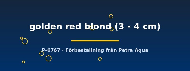 petra-ph2-178836 petra-ph2-178836