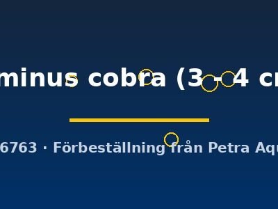 luminus cobra (3 - 4 cm)