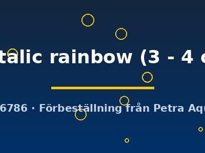 metalic rainbow (3 - 4 cm)